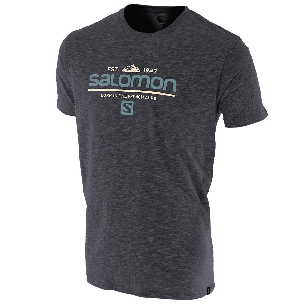 SALOMON UK VISIONARY SS M - Mens T-shirts Grey ,LSTC53069